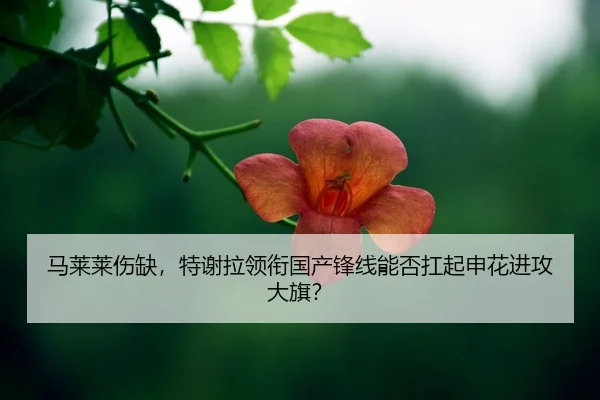 ma-lai-lai-shang-que-te-xie-la-ling-xian-guo-chan-feng-xian-neng-fou-kang-qi-shen-hua-jin-gong-da-qi-2-202.jpg